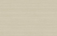 Hooked on Walls Passe Partout 2026 Casa Blanca Uni Soie Tropical 29708