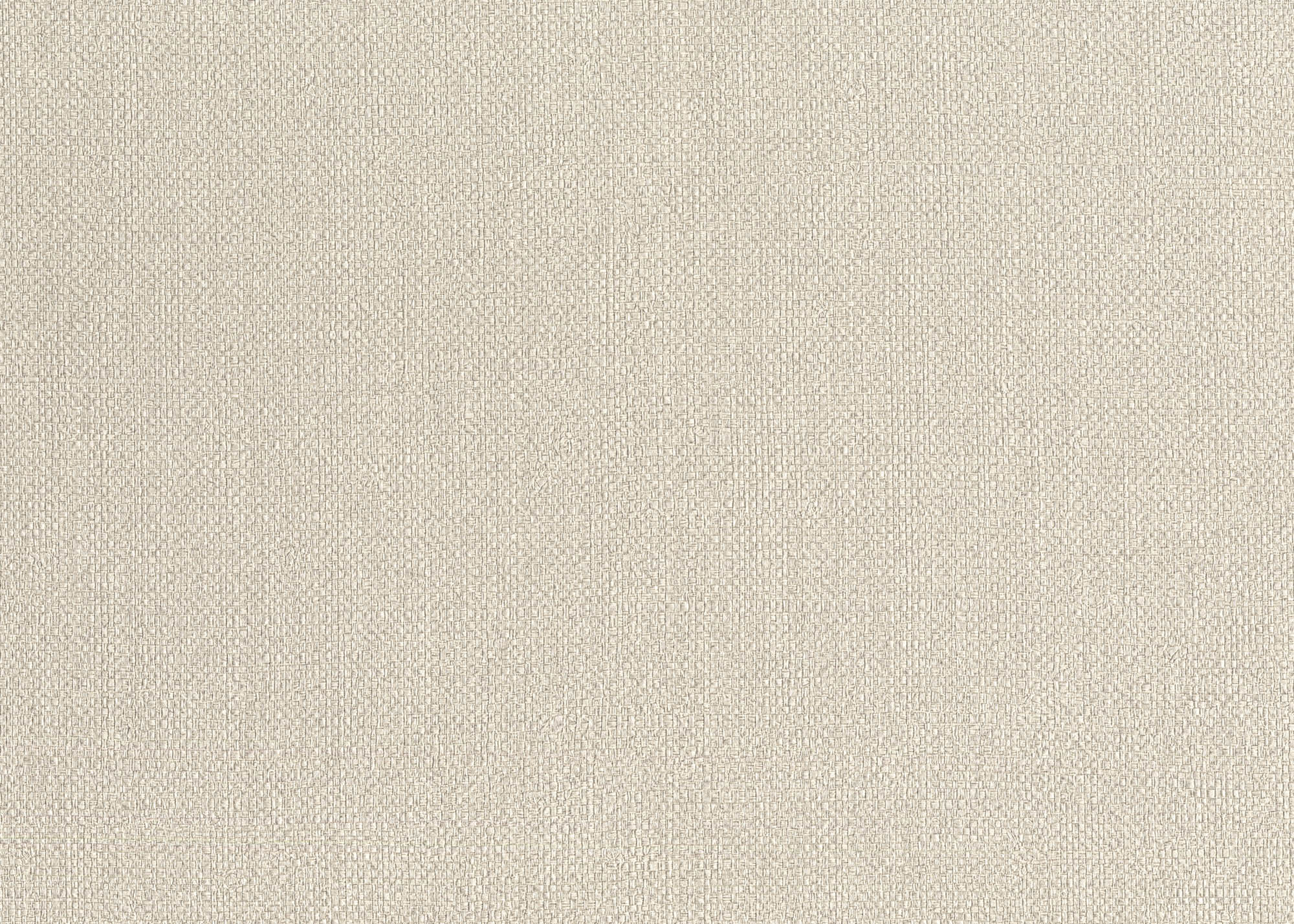 Hooked on Walls Passe Partout 2026 Casa Blanca Baobab 29721