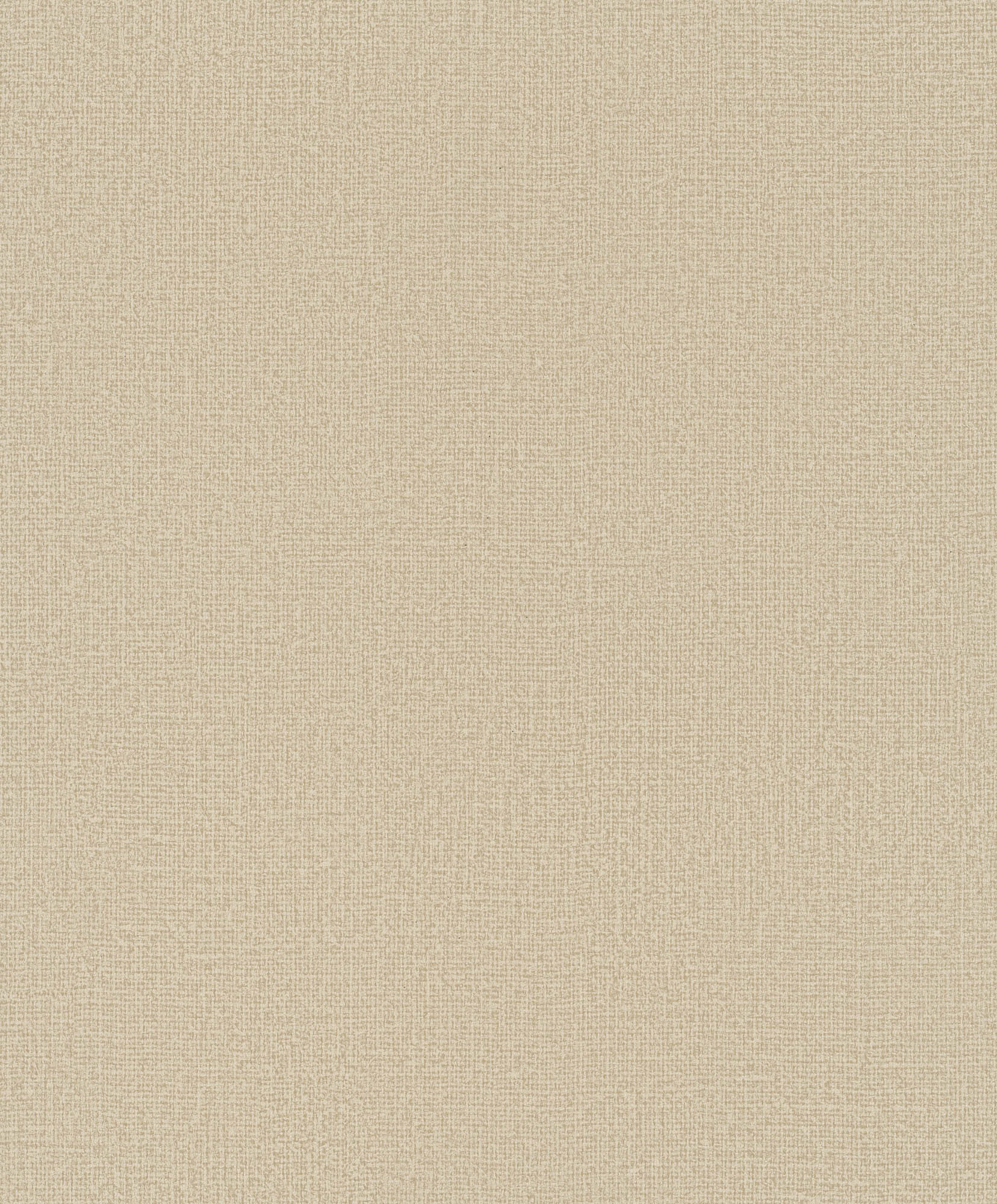 Hooked on Walls Passe Partout 2026 Casa Blanca 29752