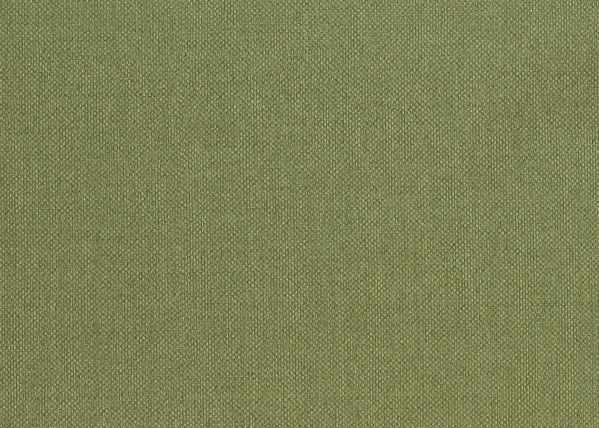 Hooked on Walls Passe Partout 2026 Colour Vibes Baobab 29809