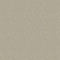 Hooked on Walls Passe Partout 2026 Colour Vibes Ambre 29830