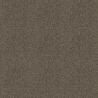 Hooked on Walls Passe Partout 2026 Colour Vibes Cadiz 29836