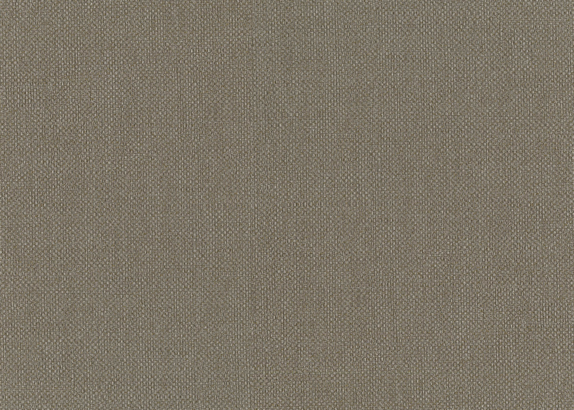 Hooked on Walls Passe Partout 2026 Colour Vibes Baobab 29842