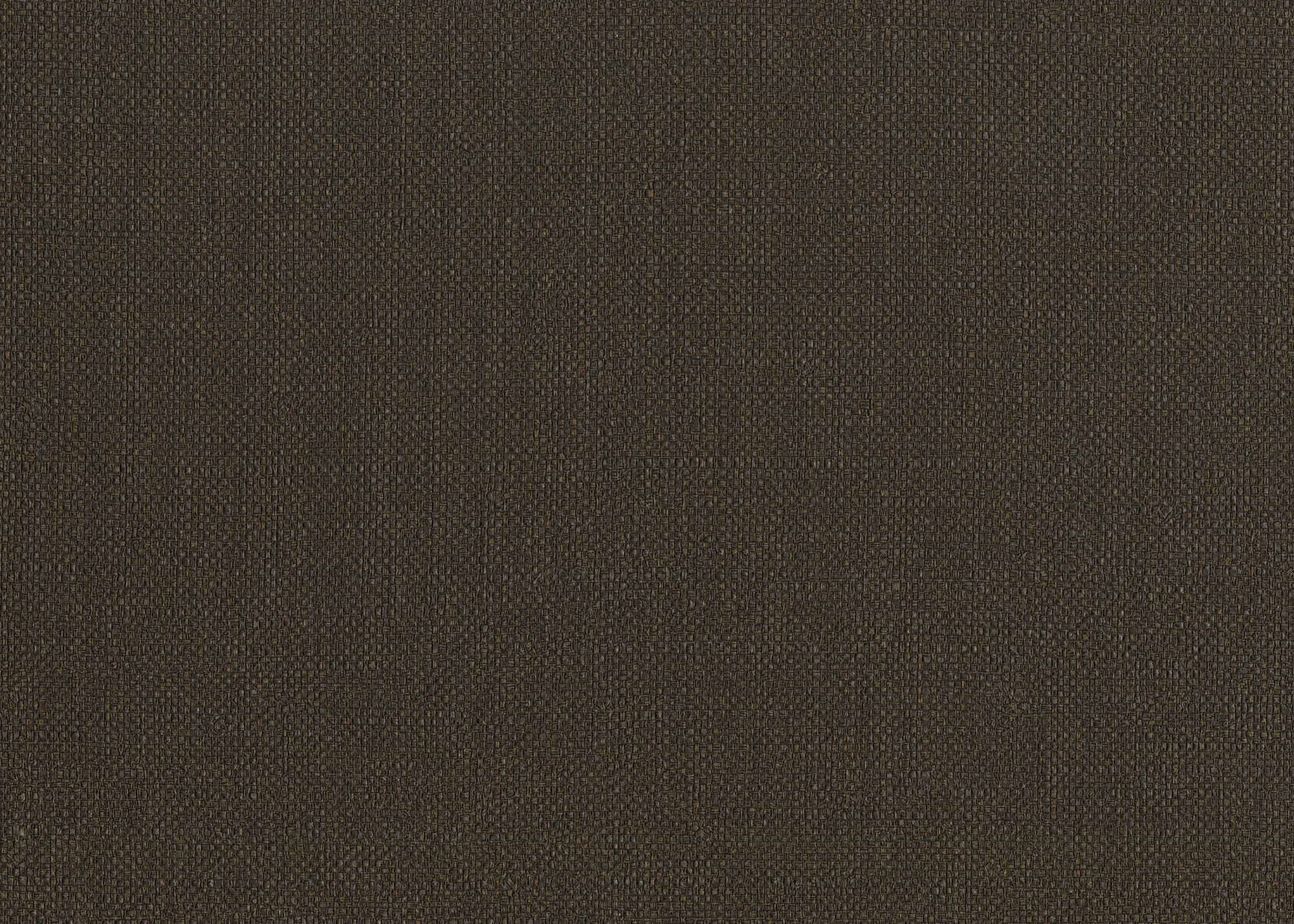 Hooked on Walls Passe Partout 2026 Colour Vibes Baobab 29849