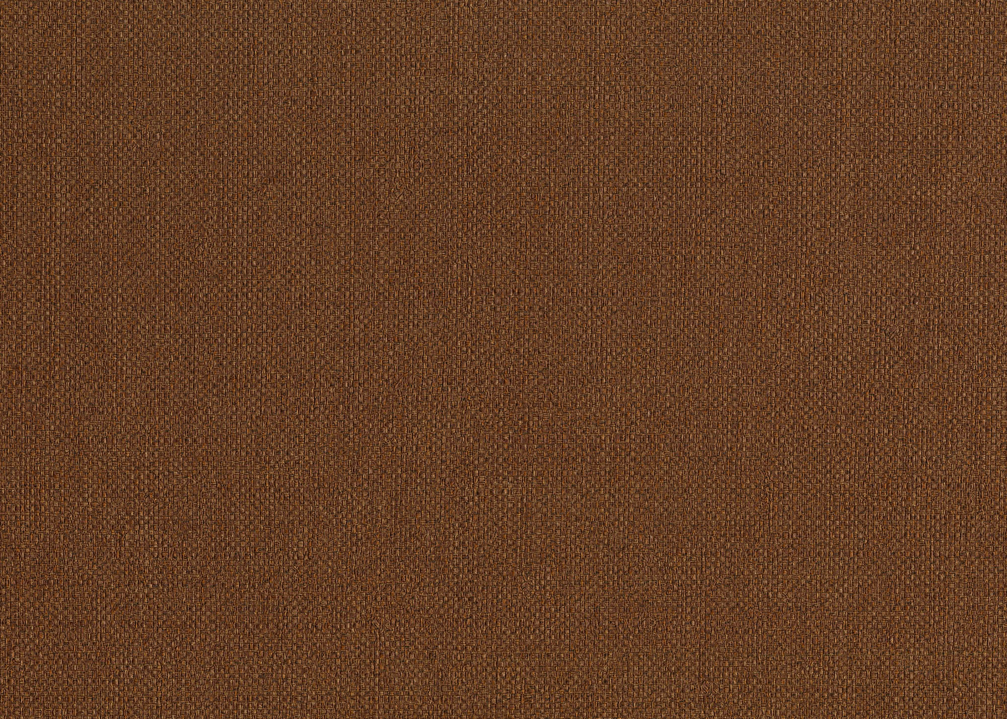 Hooked on Walls Passe Partout 2026 Colour Vibes Baobab 29880