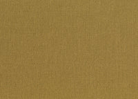 Hooked on Walls Passe Partout 2026 Colour Vibes Baobab 29902