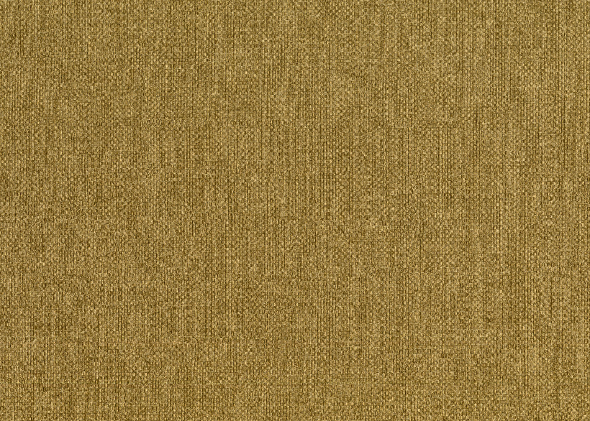 Hooked on Walls Passe Partout 2026 Colour Vibes Baobab 29902