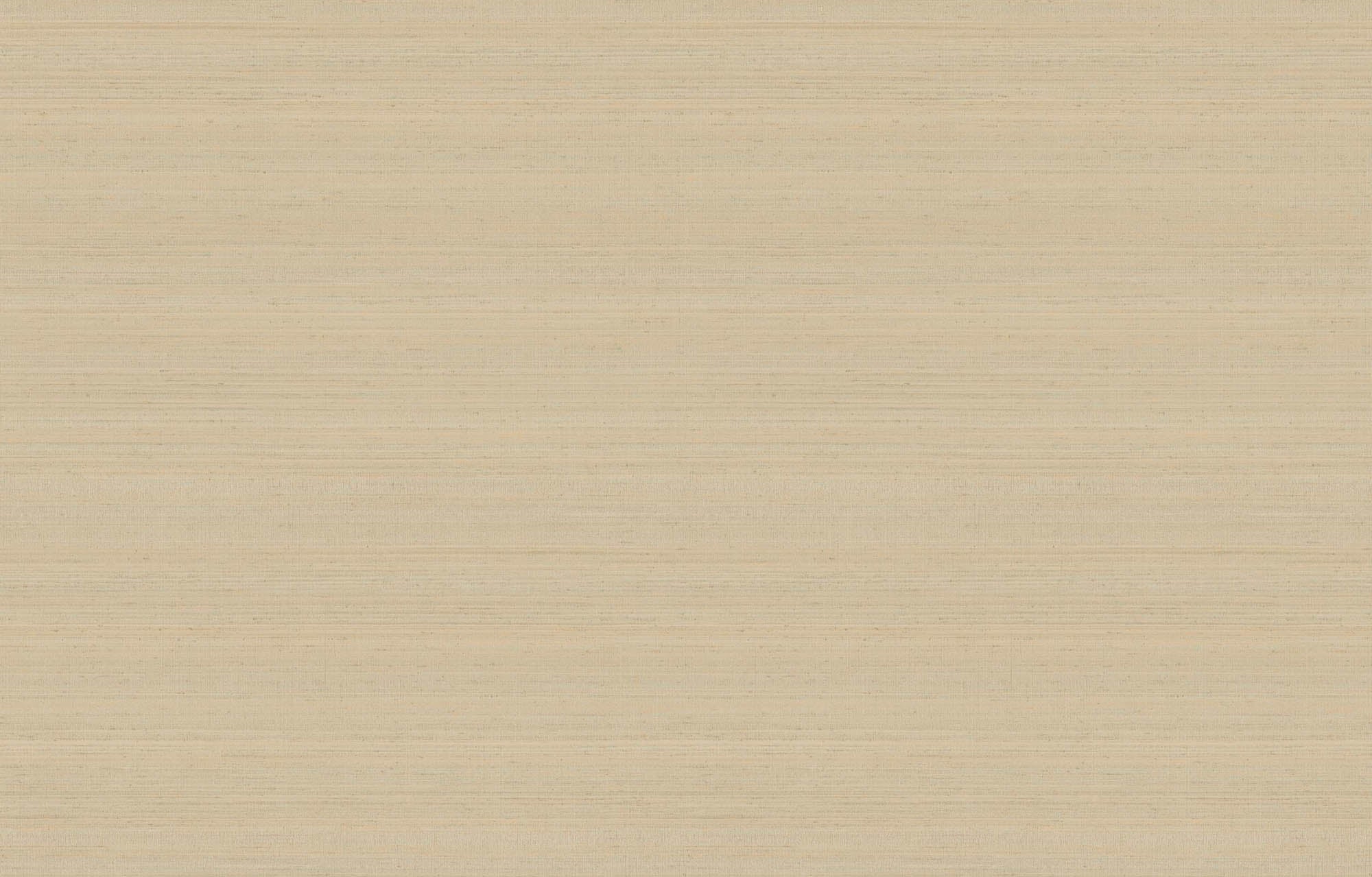 Hooked on Walls Passe Partout 2026 Colour Vibes Uni Soie Tropical 29906