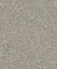 Hooked on Walls Passe Partout 2026 Colour Vibes Bark 29923