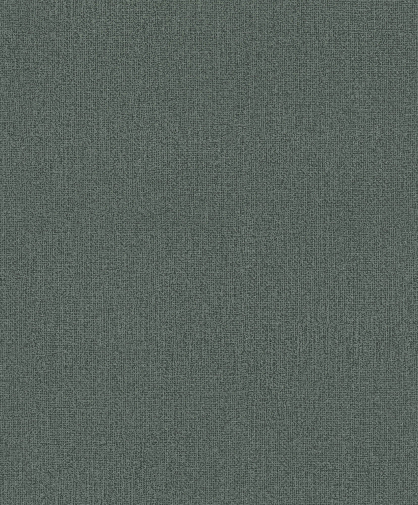 Hooked on Walls Passe Partout 2026 Colour Vibes Loft Sup 29944