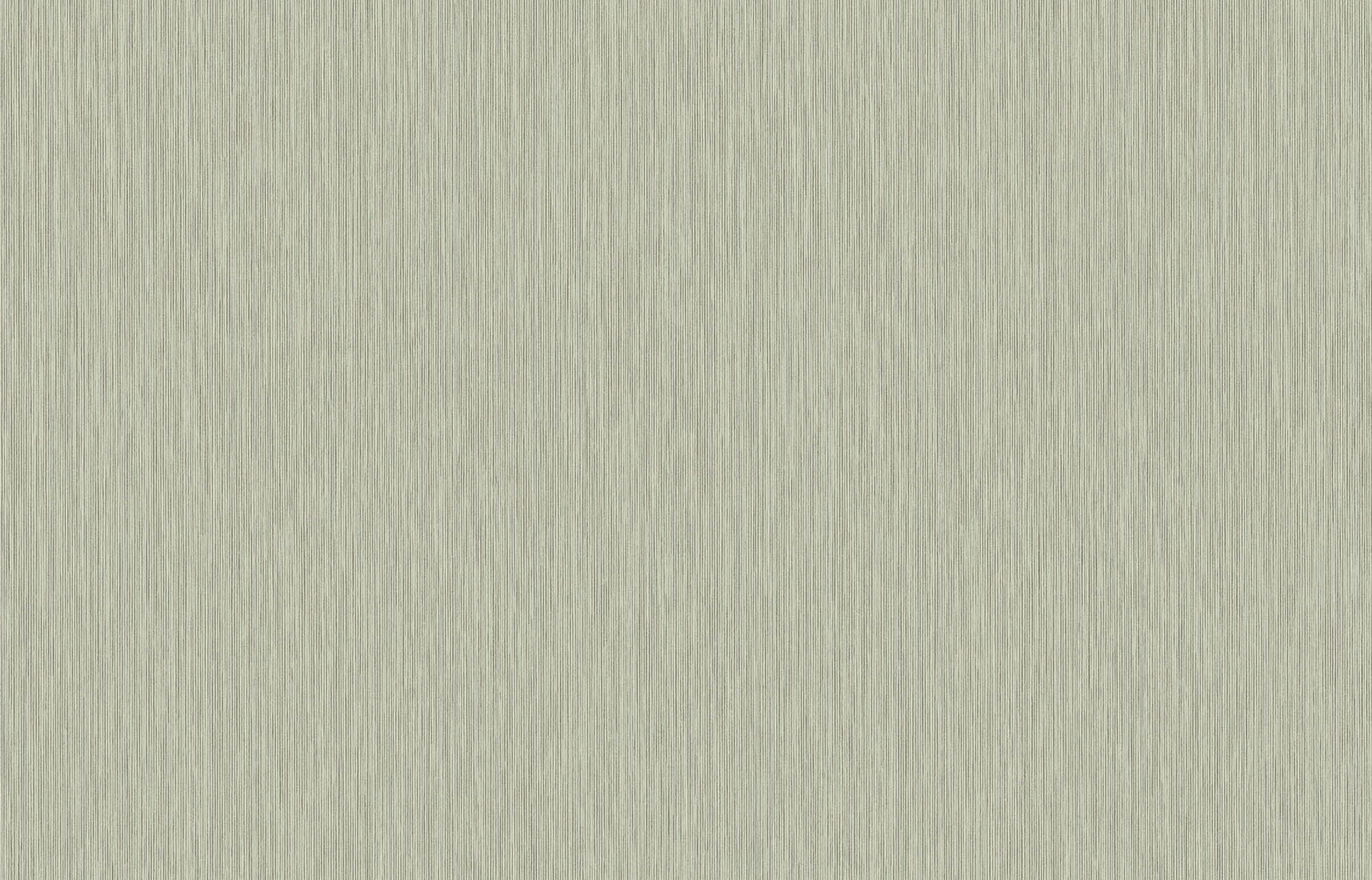 Hooked on Walls Passe Partout 2026 Colour Vibes Yucca Plain 29949