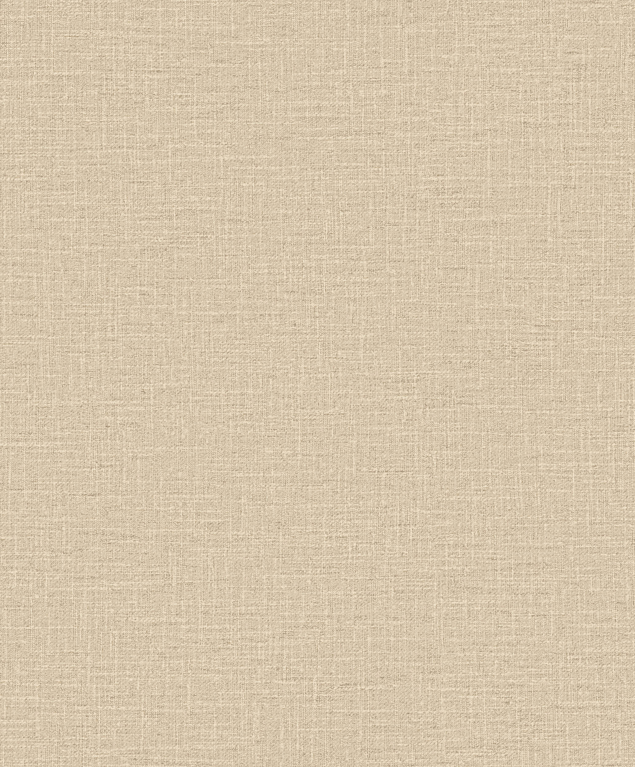 Hooked on Walls Promenade Dune 20216