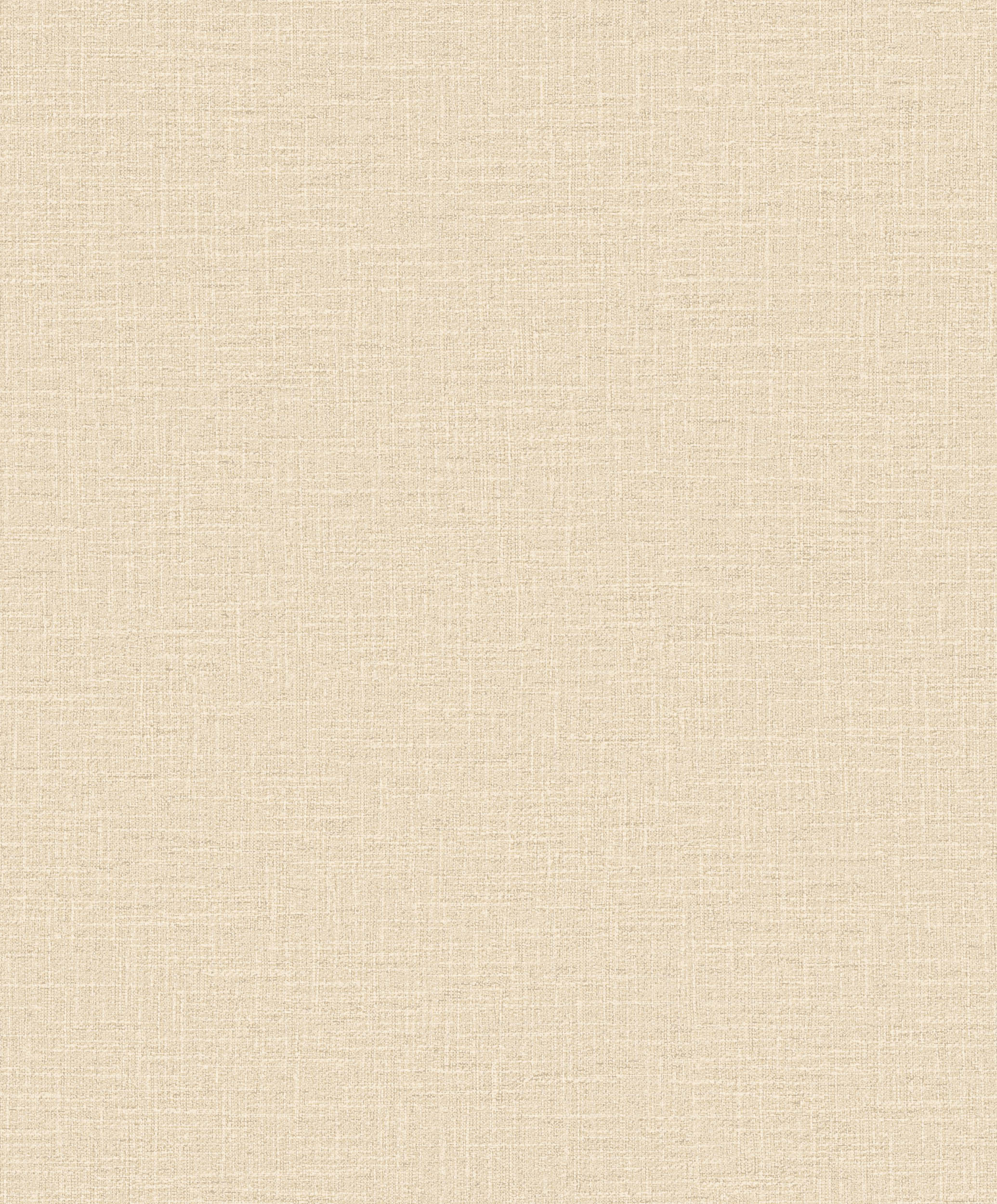 Hooked on Walls Promenade Dune 20217