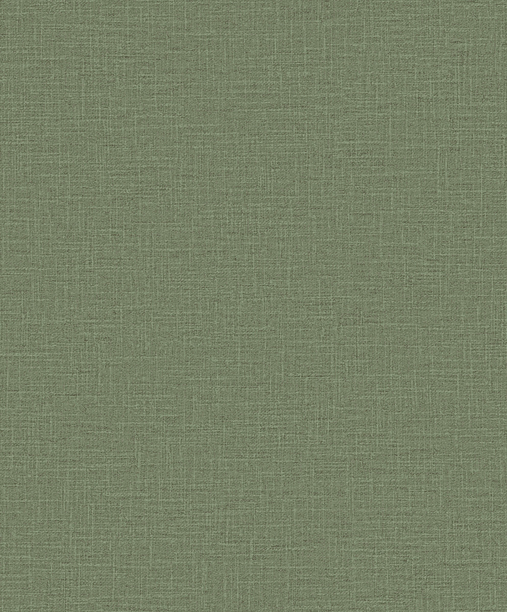 Hooked on Walls Promenade Dune 20218