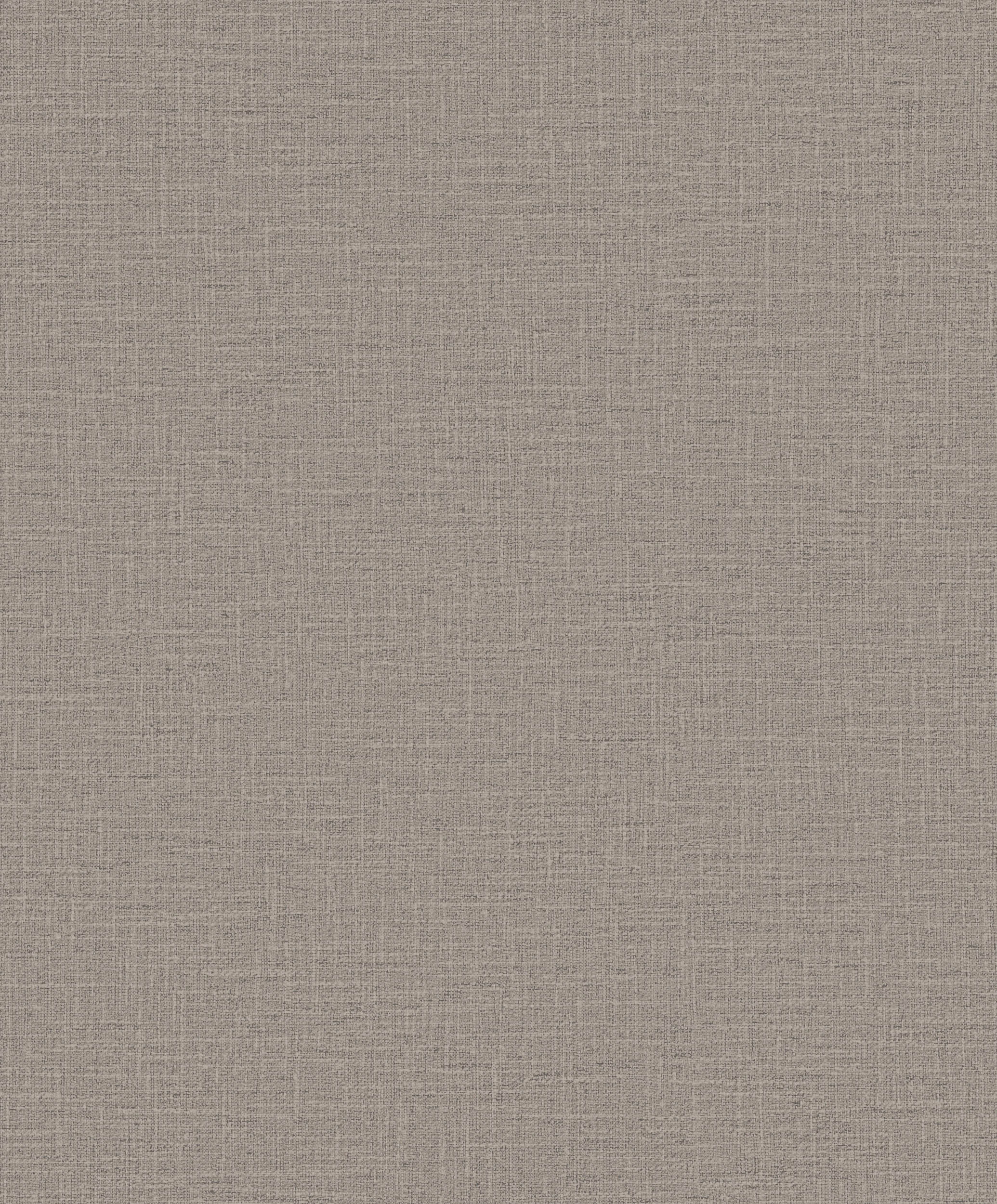 Hooked on Walls Promenade Dune 20223