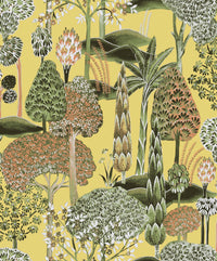 Khroma Summer Ori Coral SUM003