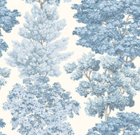 Hooked on Walls Scalamandré Central Park JV26038