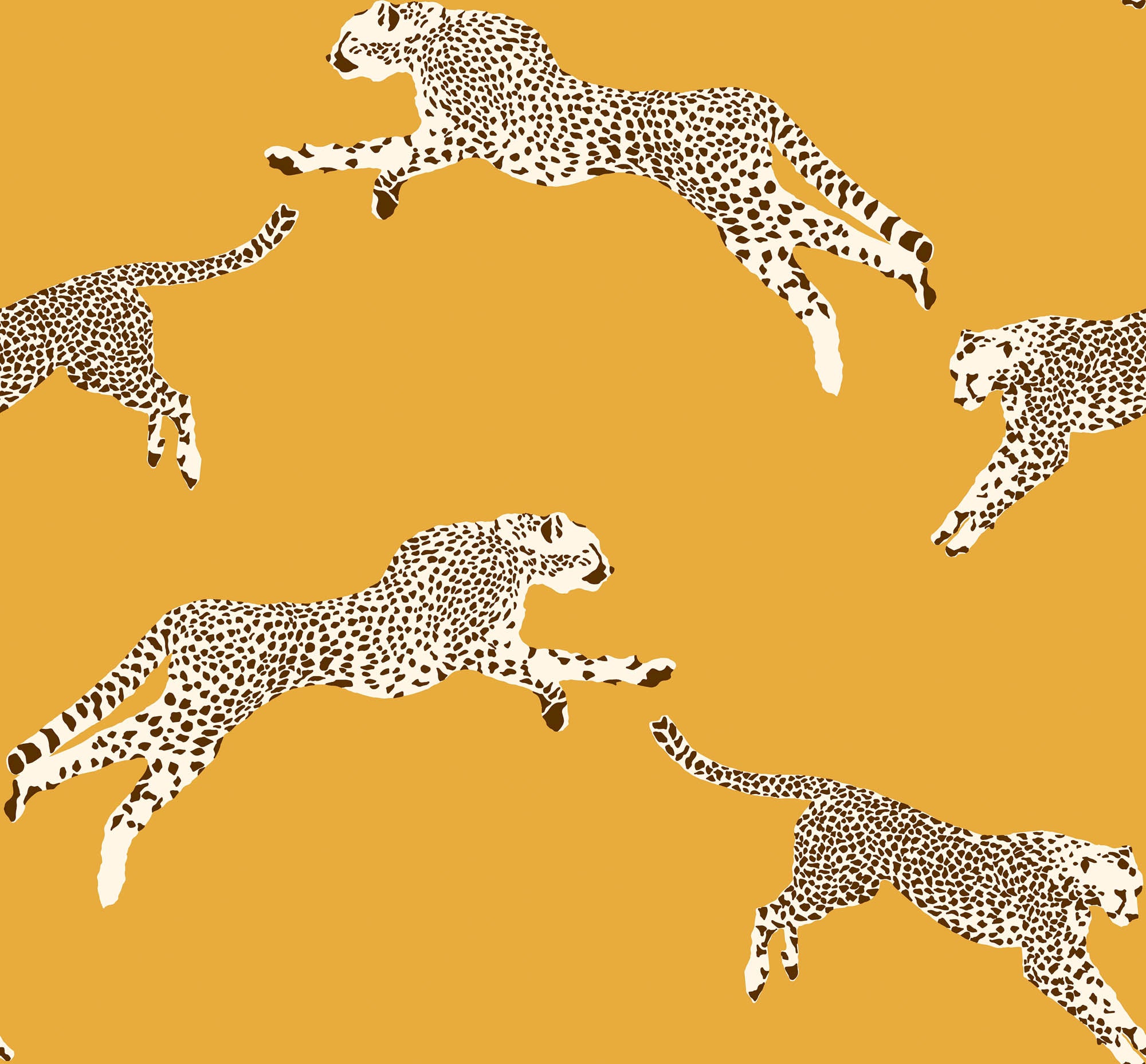 Hooked on Walls Scalamandré Leaping Cheetah JV26020