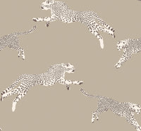 Hooked on Walls Scalamandré Leaping Cheetah JV26021