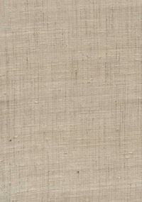 Arte Wild Silk Ghicha Silk 86544