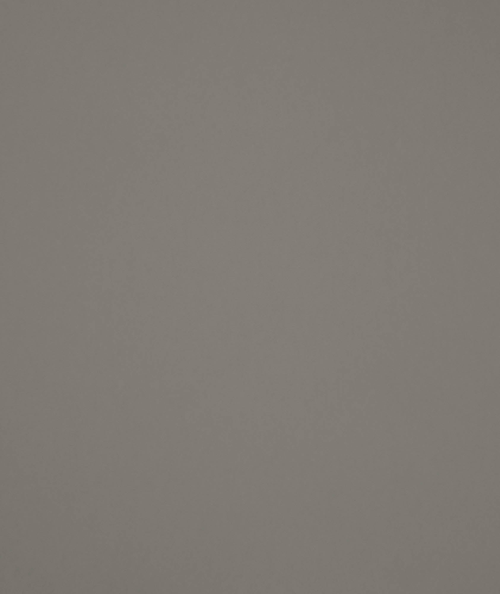 Hooked on Walls Young Traditionals Muro 27852