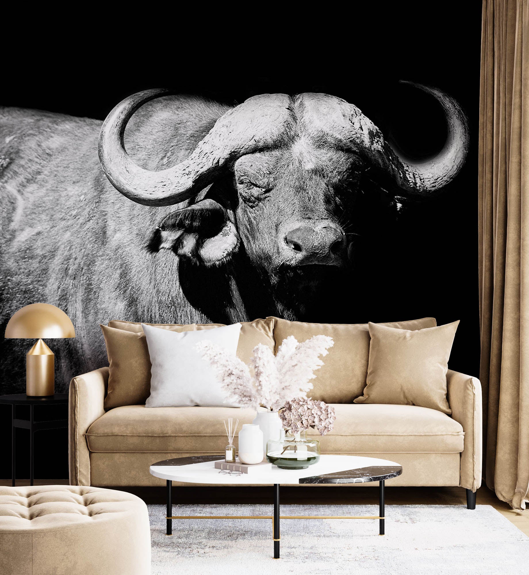 Afrikaanse buffel - LW00222 Fotobehang