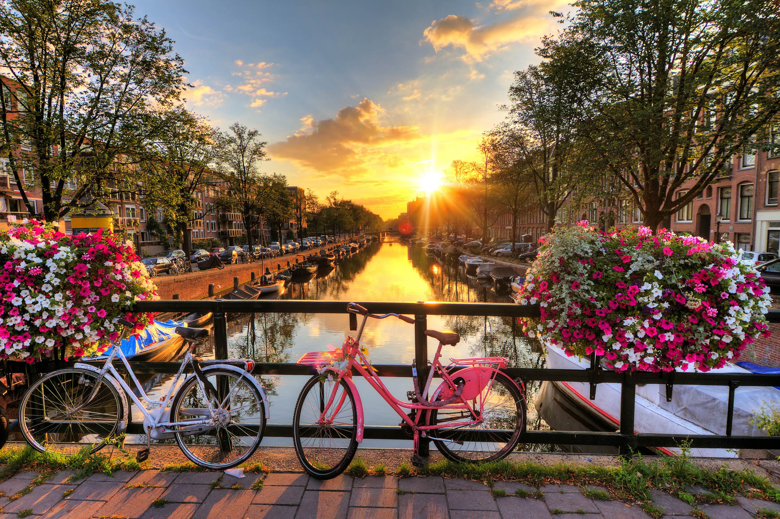 Amsterdamse Gracht met Bloemen en Fietsen - LW00752