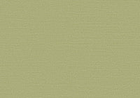 Arte Birds Of Paradise Silky BOP317