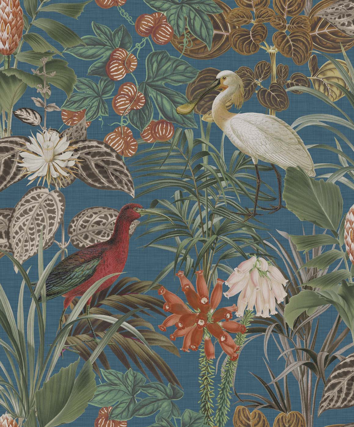 Arte Birds Of Paradise The Wading Birds BOP501