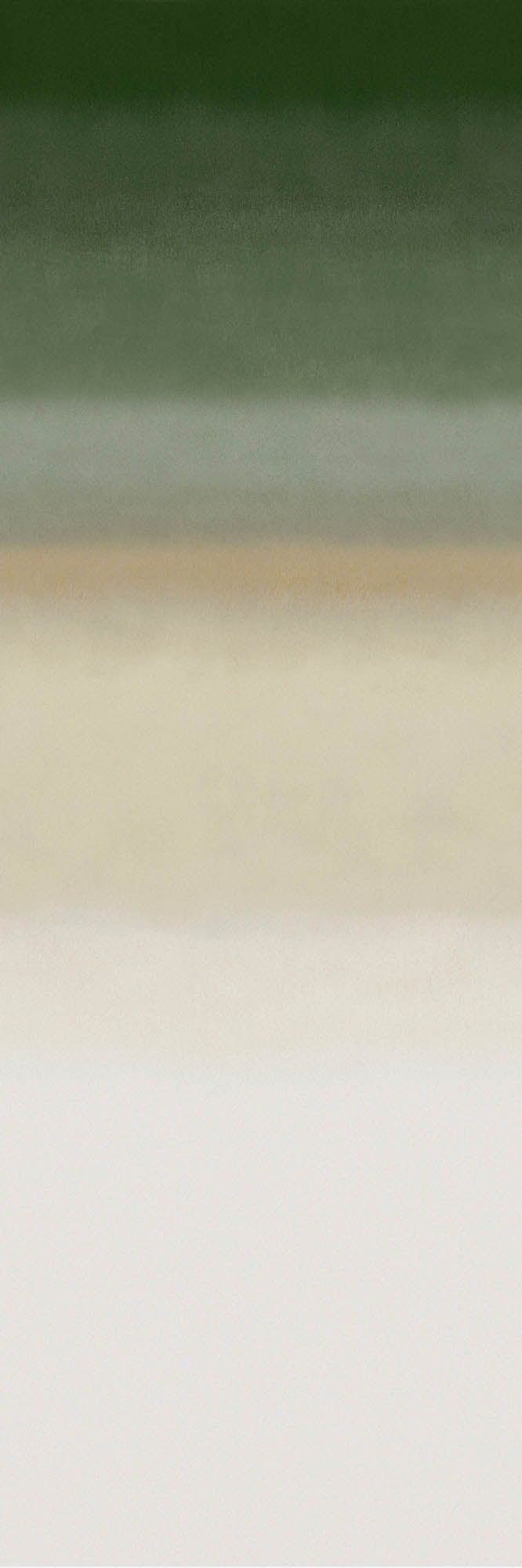 Arte Edition Influence - Panoramique ED4003