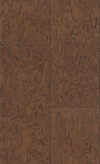 Arte Embleme Coti 30802