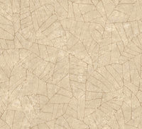 Arte Essentials Kaolin Fragment 30332