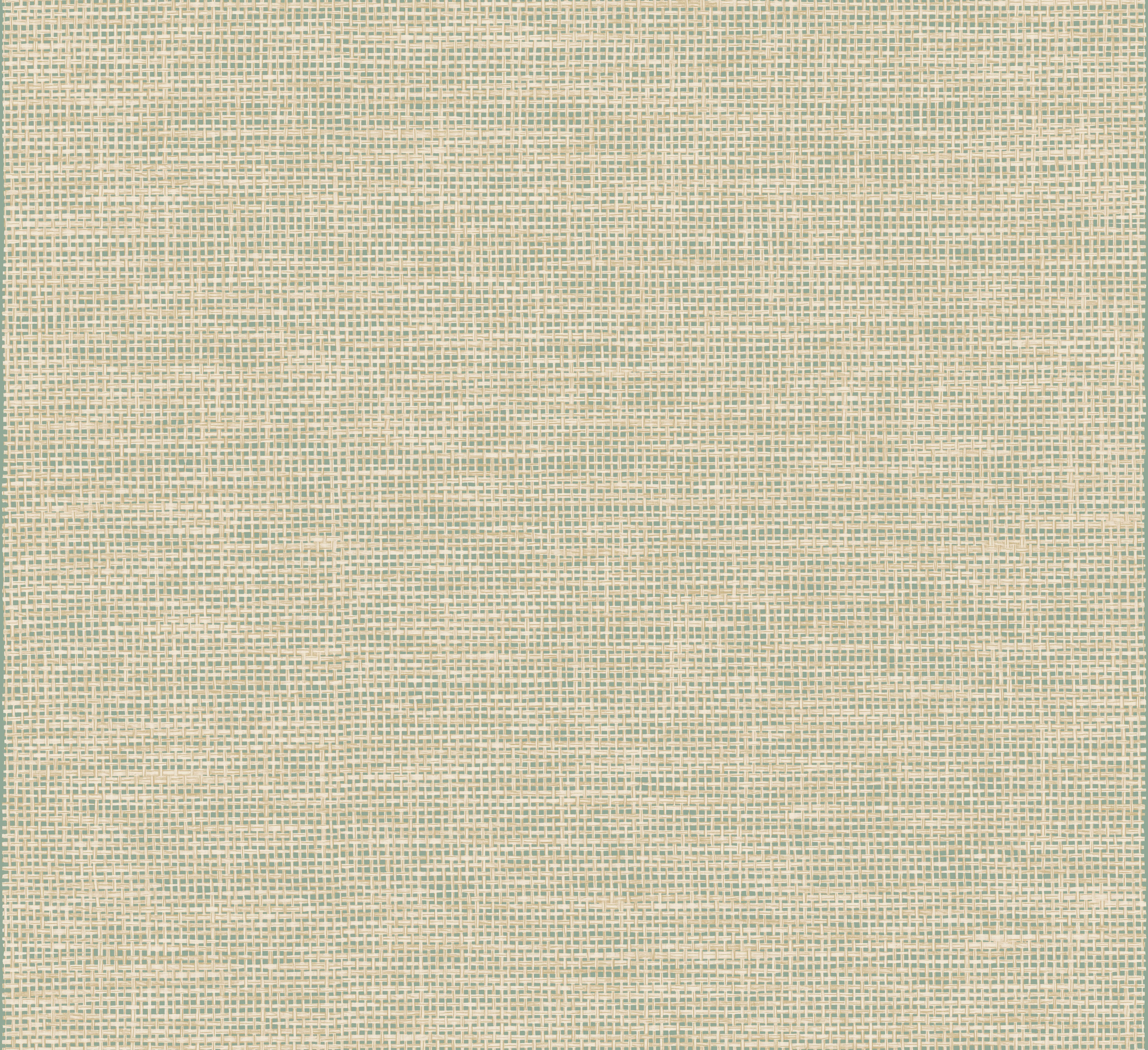 Arte Essentials Les Naturels La Raphia Tisse 26751