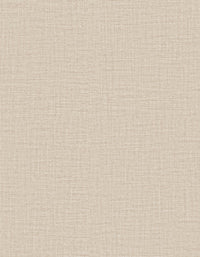 Arte Merino Lana 63502