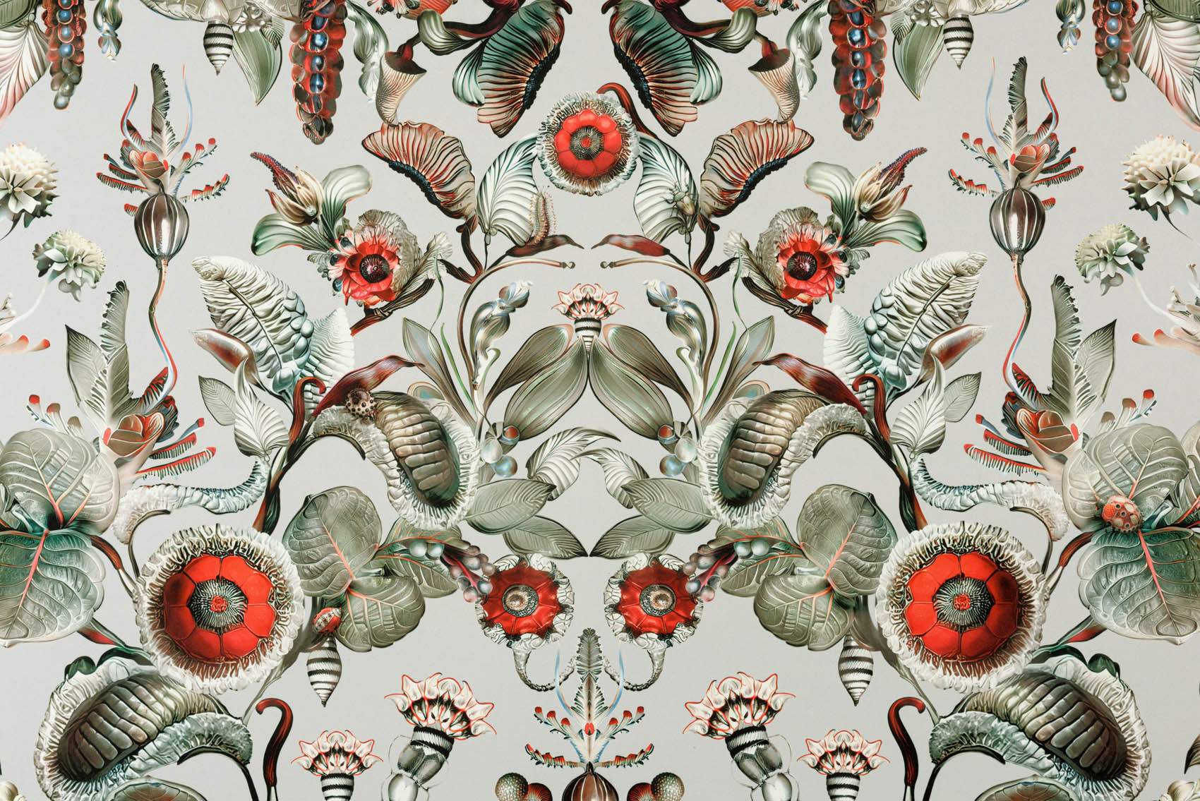 Arte Moooi Green House Coccinella Bella MO5000 Behang