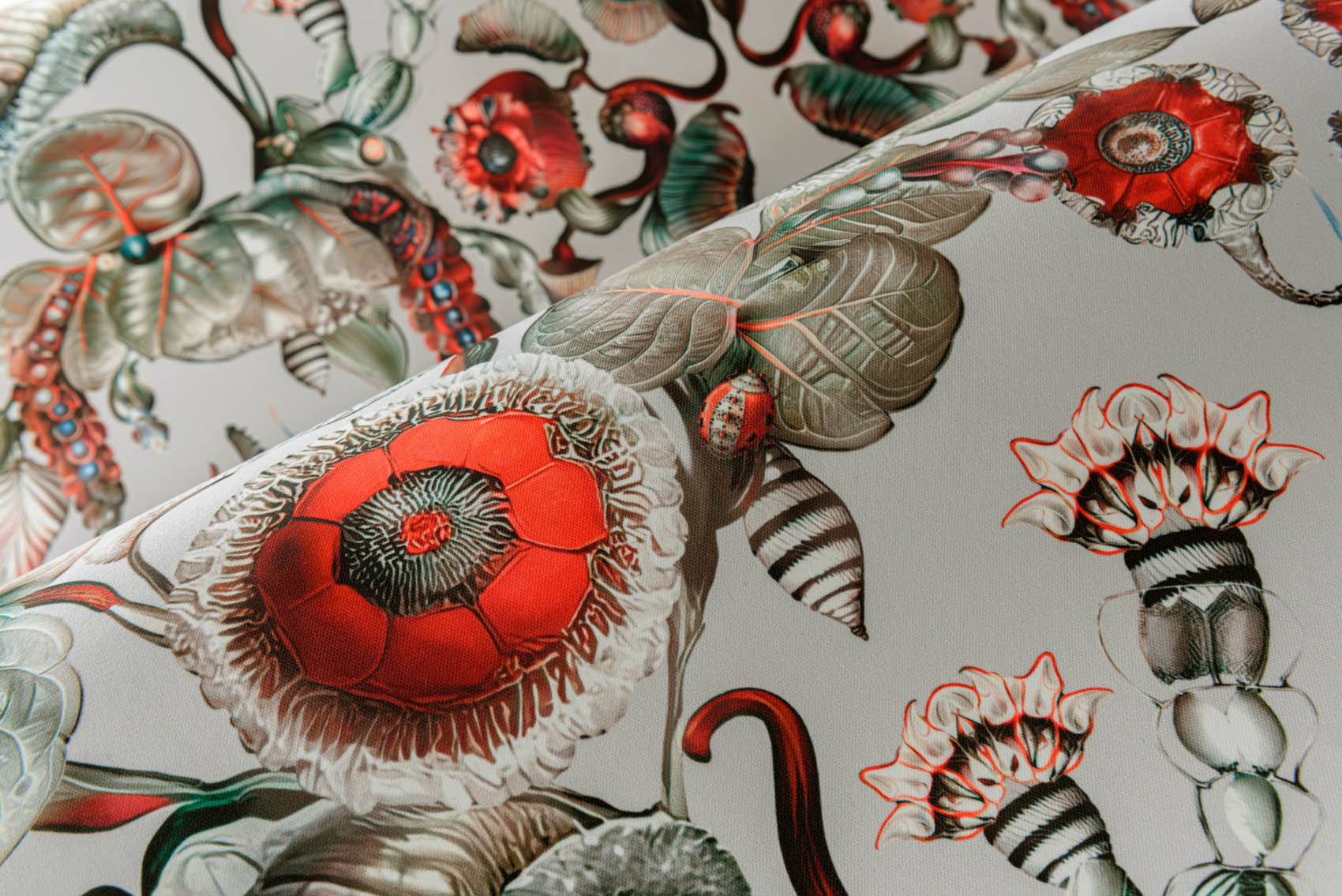 Arte Moooi Green House Coccinella Bella MO5000 Behang