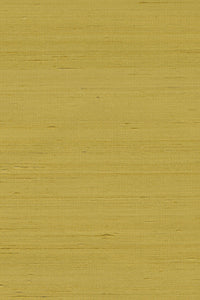 Arte Mysuru Mandya 35411