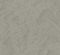 Arte Selva Musa 75000A