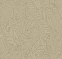 Arte Tali Strelitzia 60740