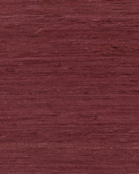 Arte Wild Silk Pure Silk 86529