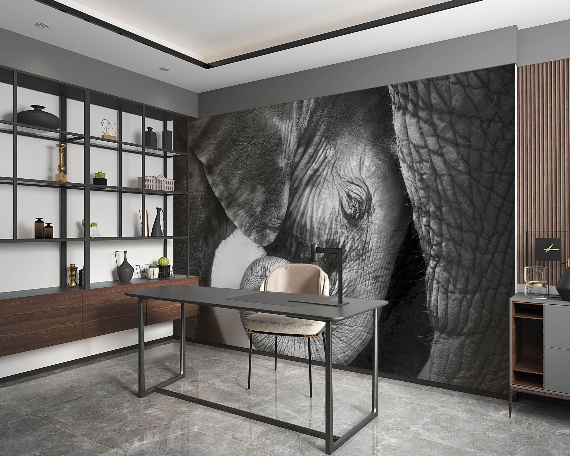 Baby olifant  - LW00204 Fotobehang