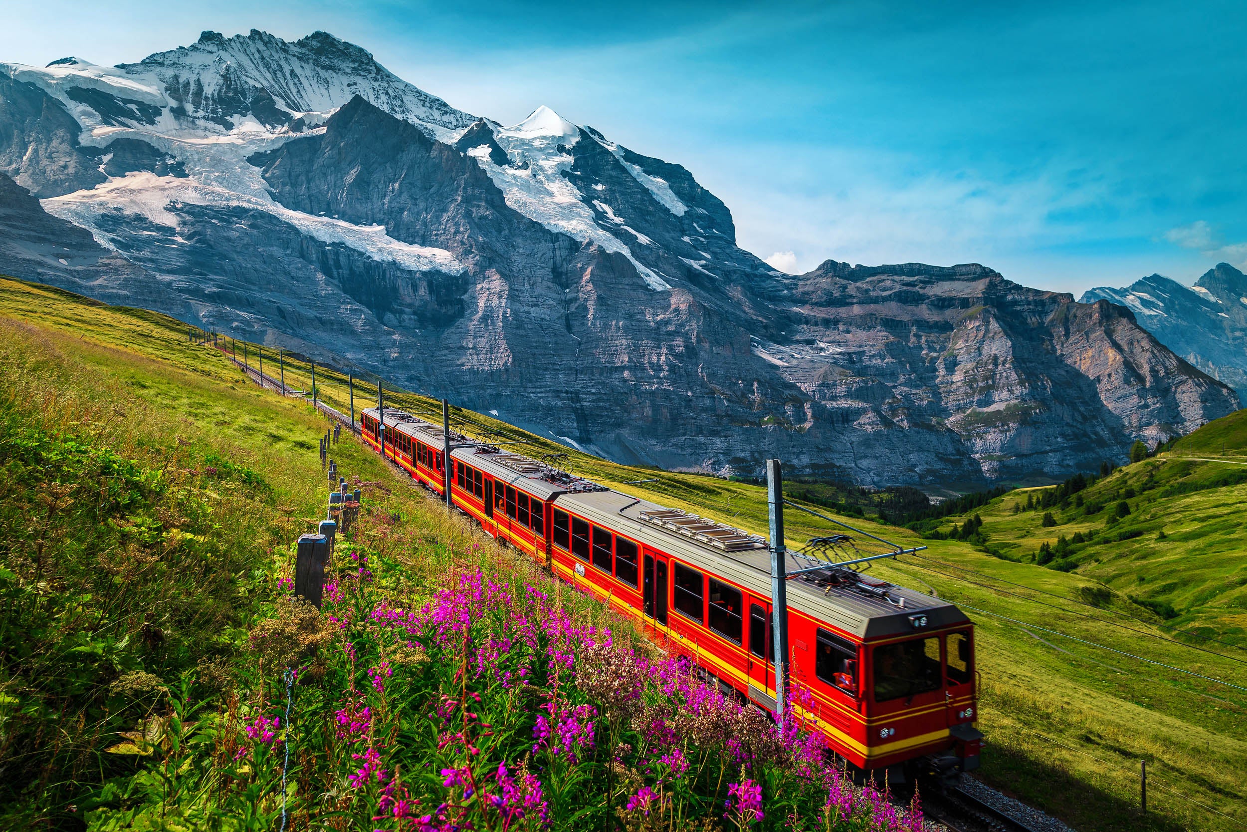 Bergtrein in Alpenlandschap - LW00783