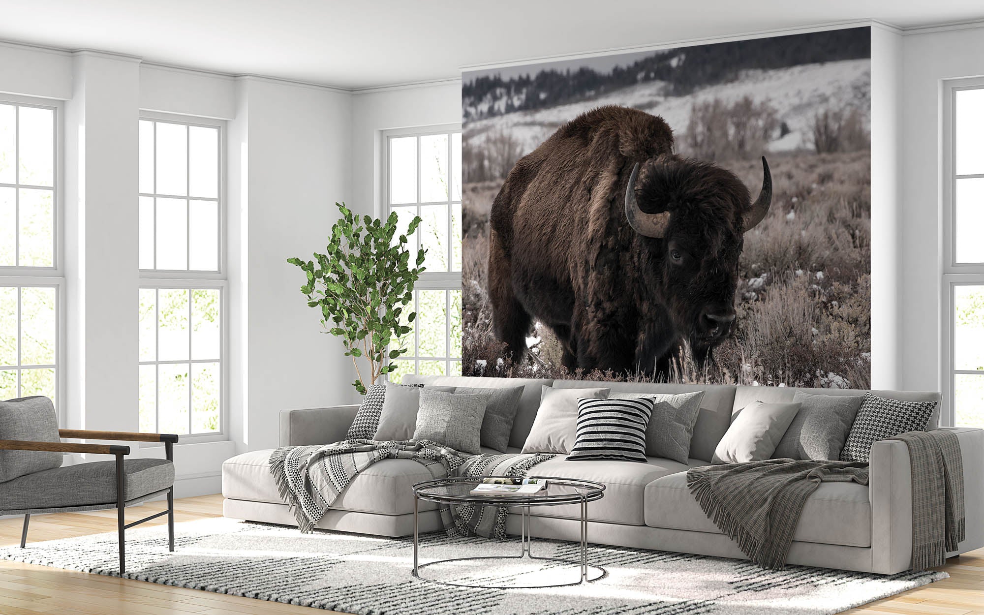 Bizon in weide - LW00162 Fotobehang