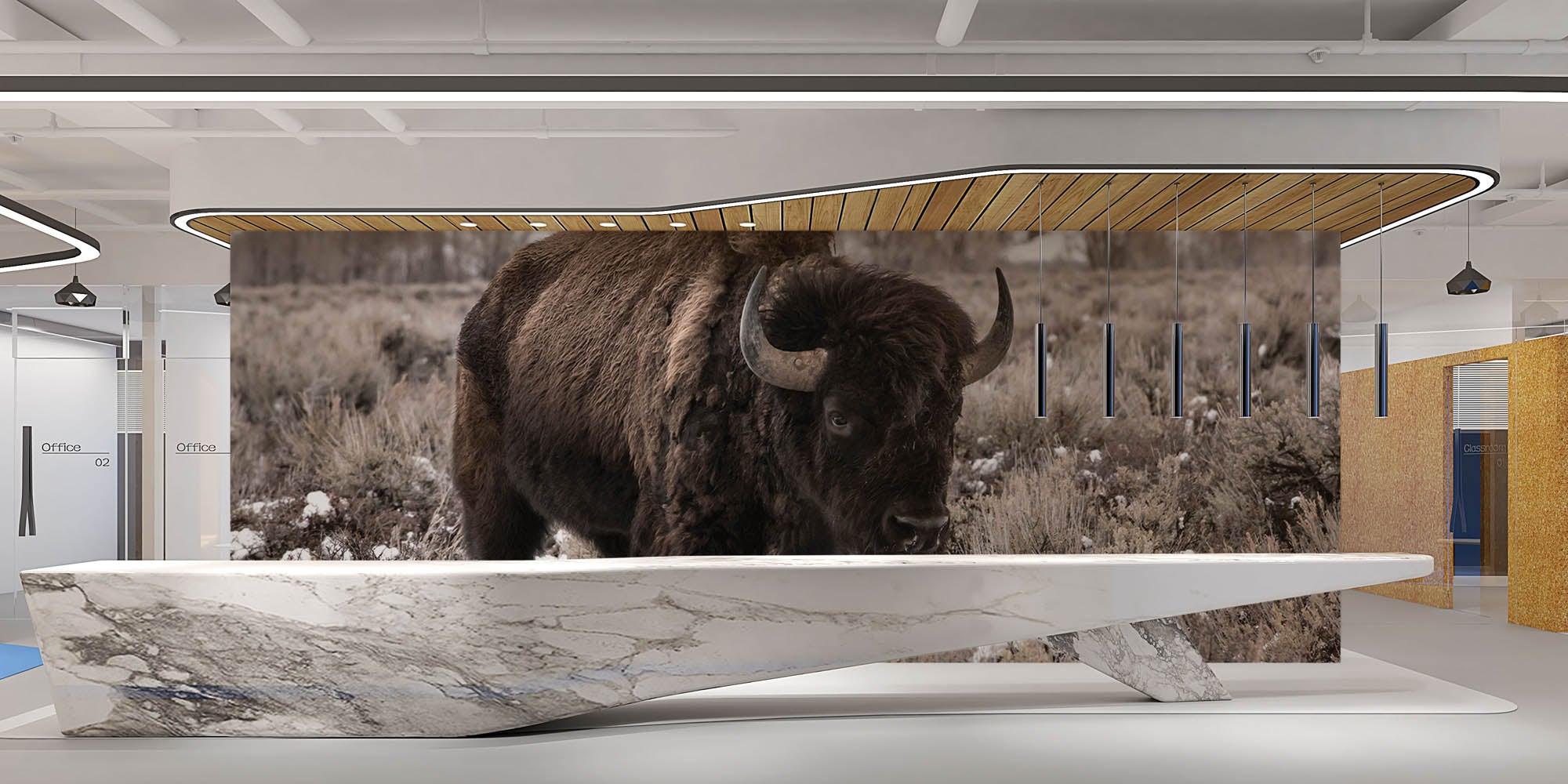 Bizon in weide - LW00162 Fotobehang