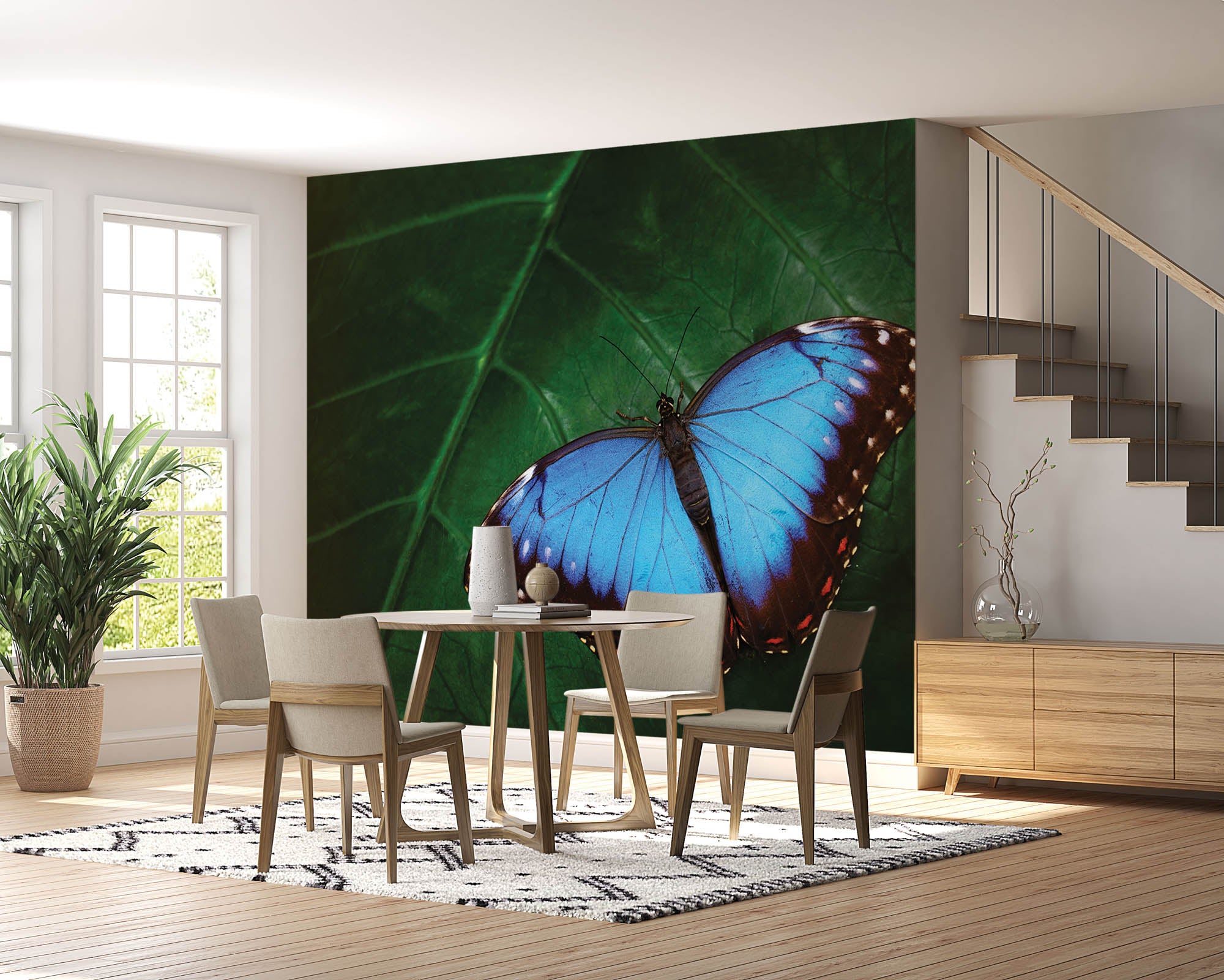 Blauwe vlinder op blad - LW00172 Fotobehang