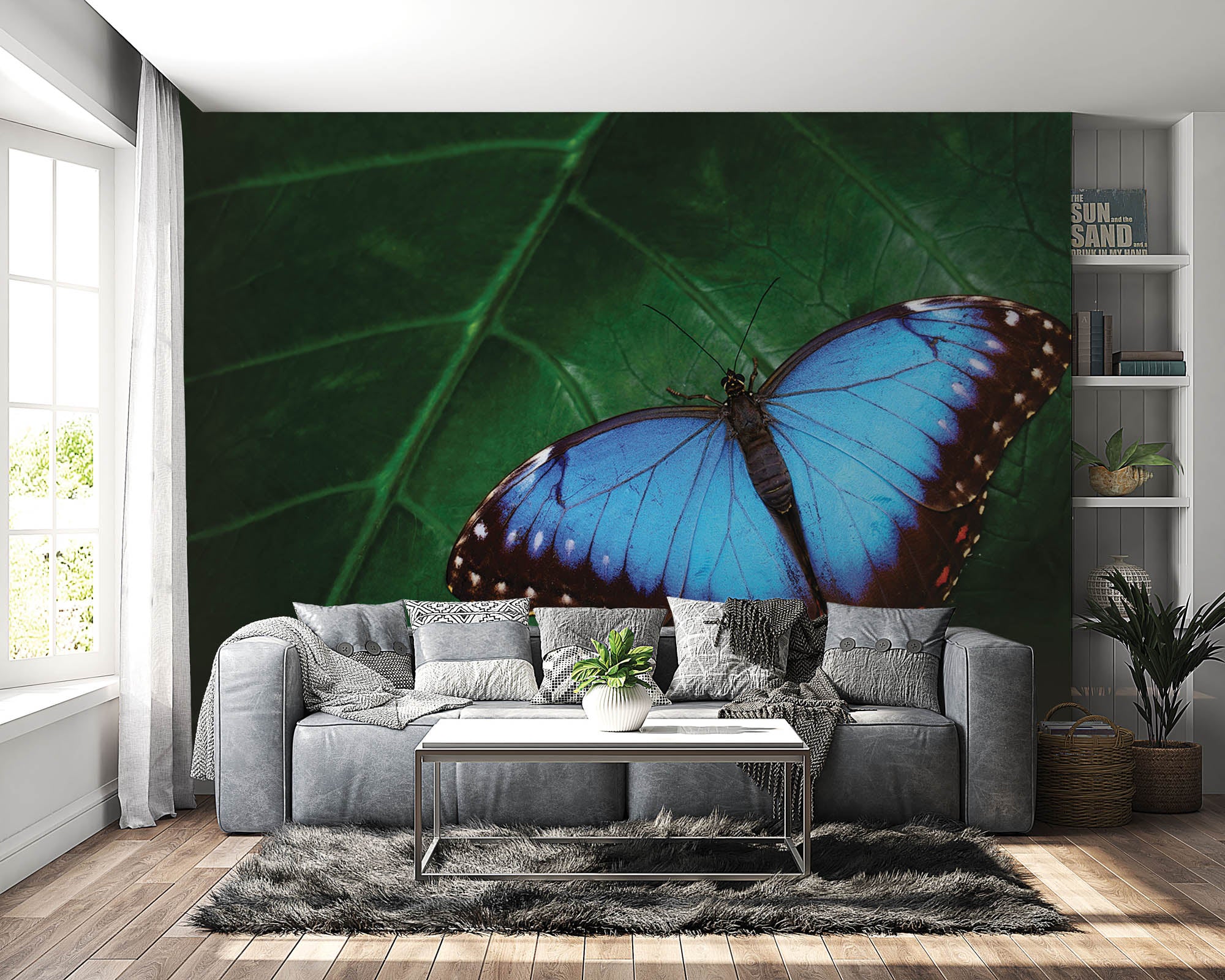 Blauwe vlinder op blad - LW00172 Fotobehang