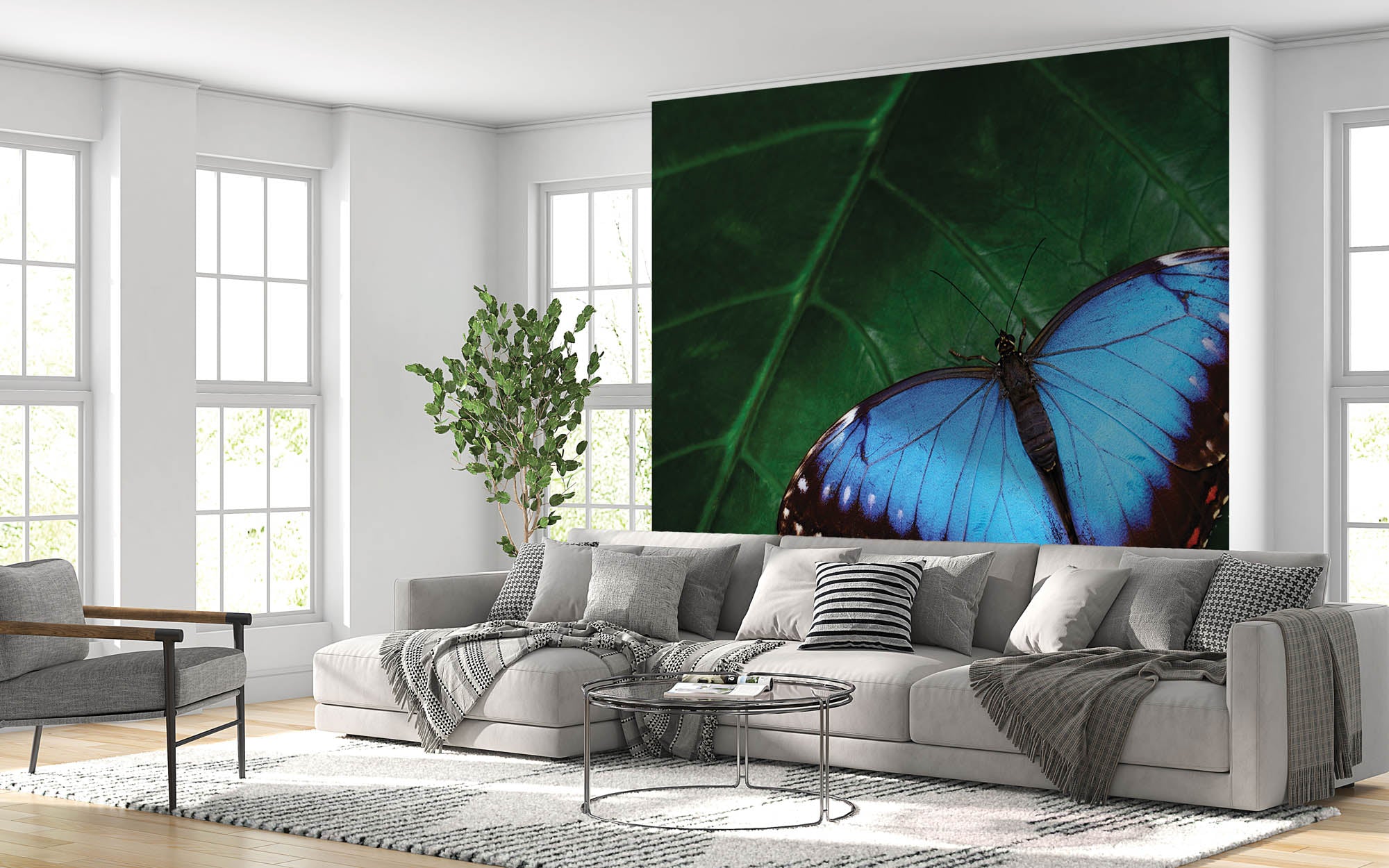 Blauwe vlinder op blad - LW00172 Fotobehang