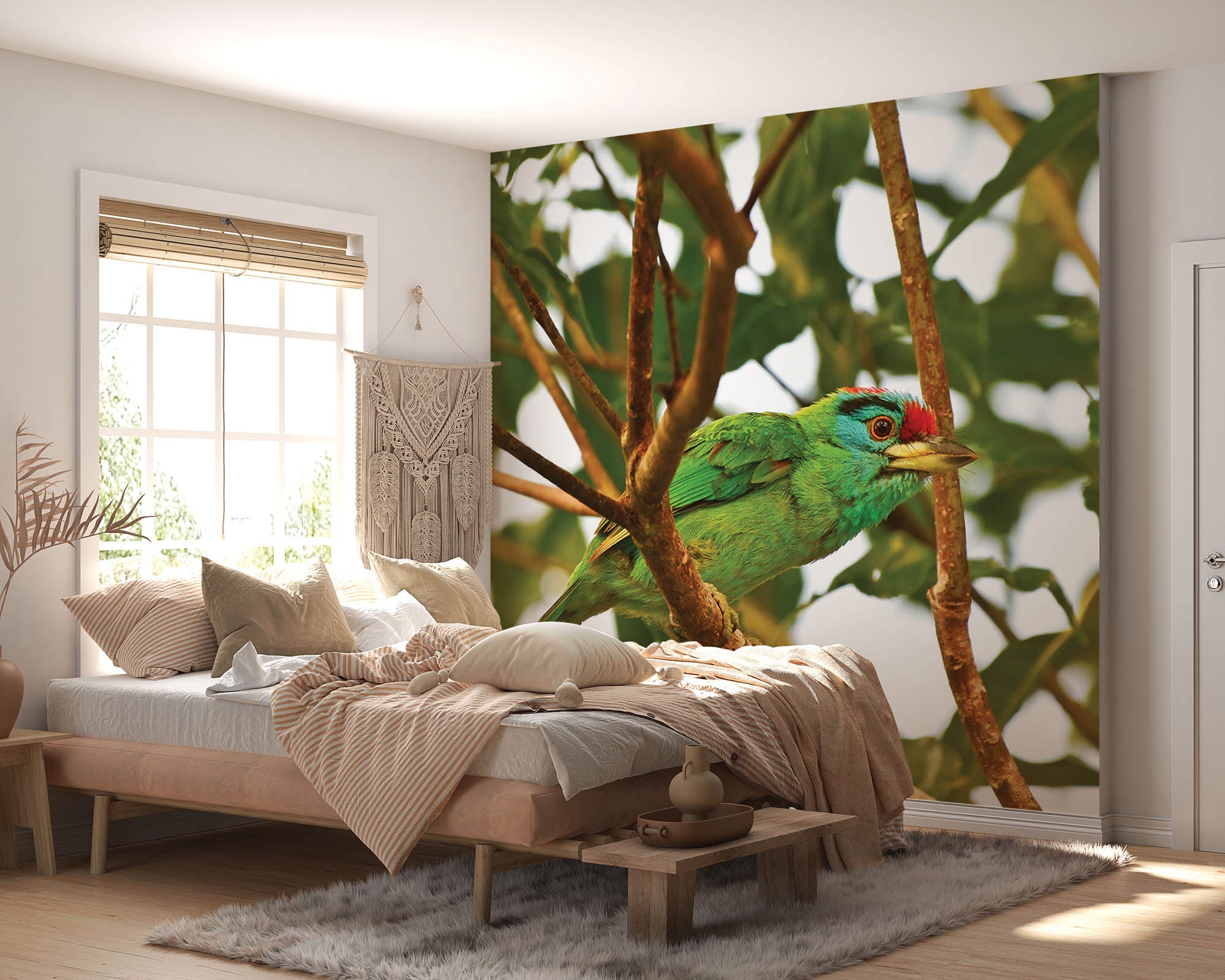 Blauwkeelbaardvogel op tak  - LW00198 Fotobehang