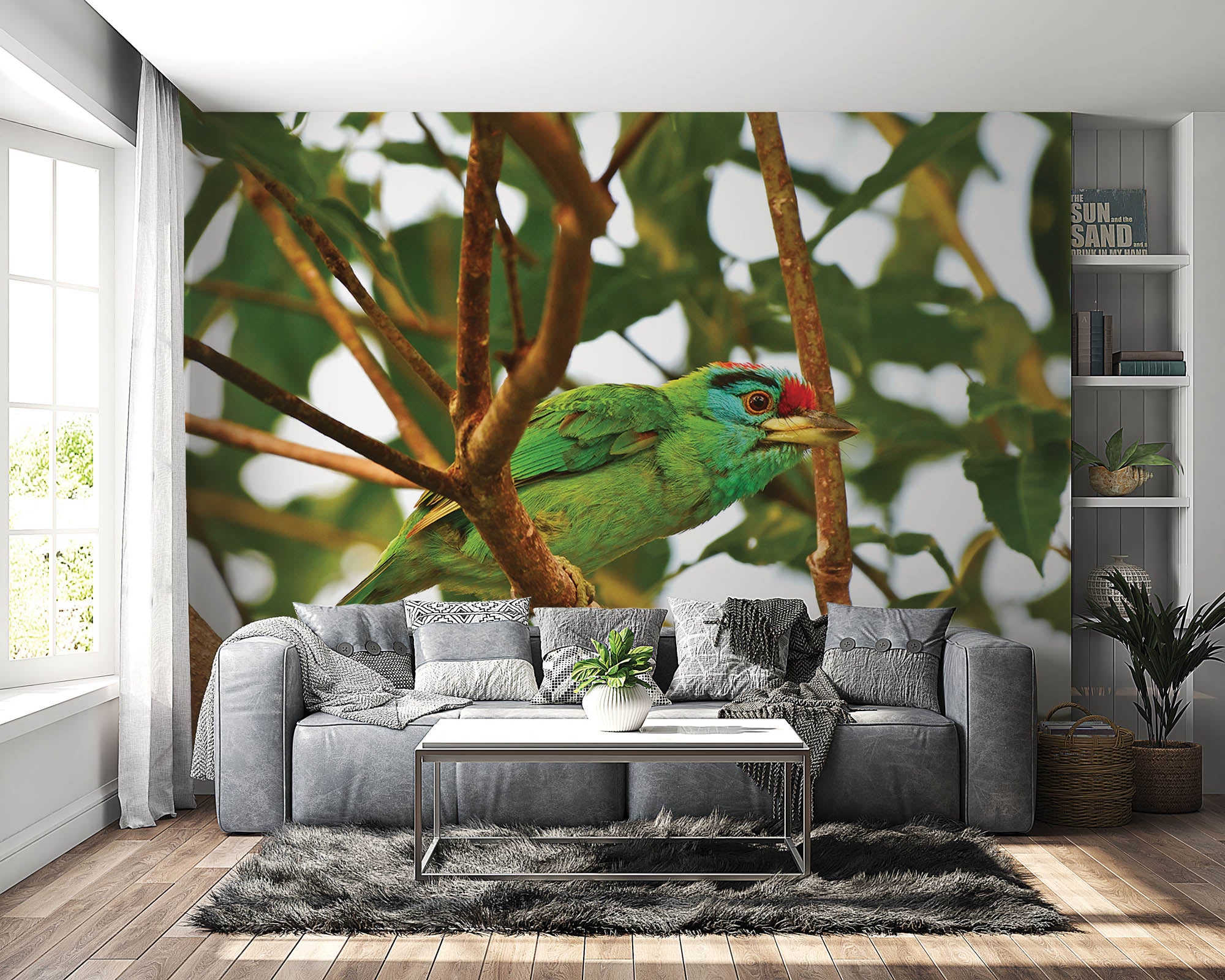 Blauwkeelbaardvogel op tak  - LW00198 Fotobehang