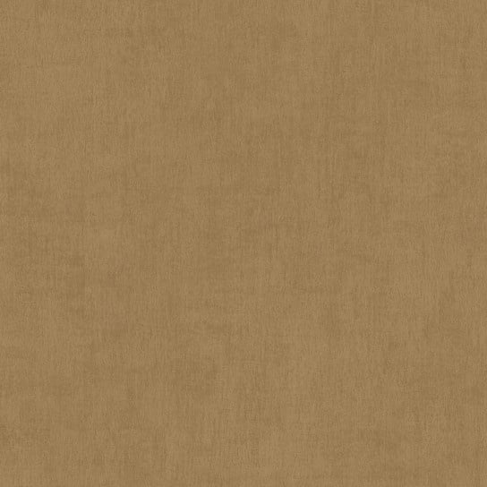 BN Walls Color Stories 220860